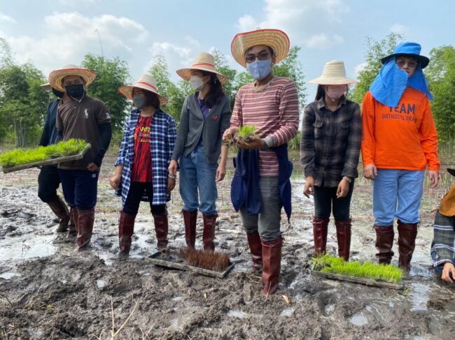 LINE_ALBUM_นาข้าวศิลปะ-ปันรู้_211203_71